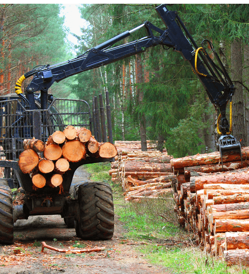 Forestry harvester machine stacking cut logs in a forest (asset finance)