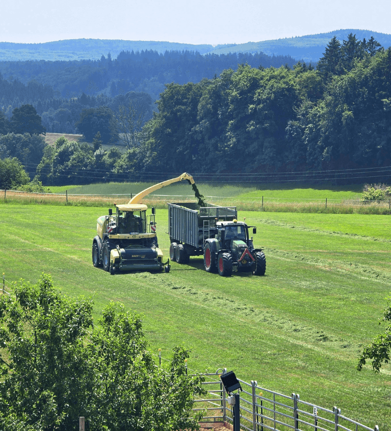 Forage harvester loading a trailer in a green field (agricultural finance)